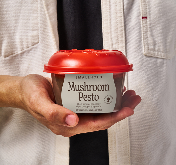 Mashroom Paste