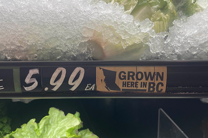 鮮度を保つために野菜に氷がかけられている様子