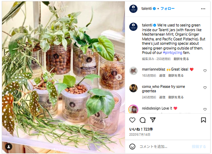 空になったアイス容器をプラント代わりにしているアップサイクル例