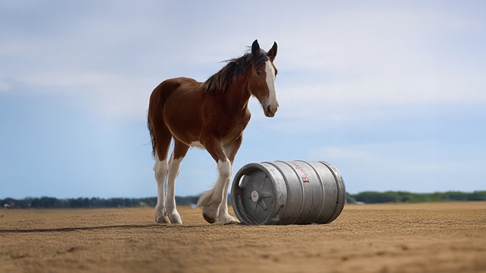 BudweiserのCM