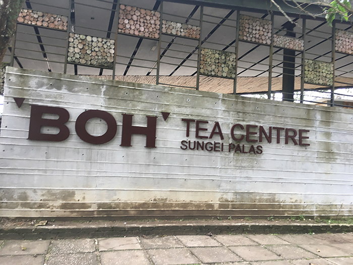 BOH TEA CENTREの外観