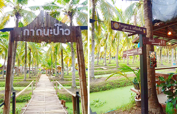 緑に囲まれているマーケットのメインエリア