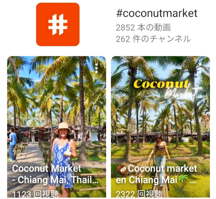 ココナッツの木をサムネにしている動画