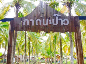 ココナッツマーケット