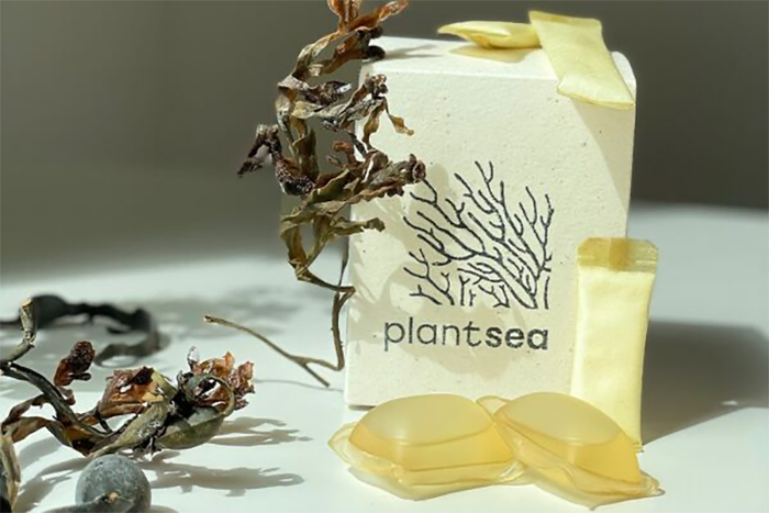 PlantSea