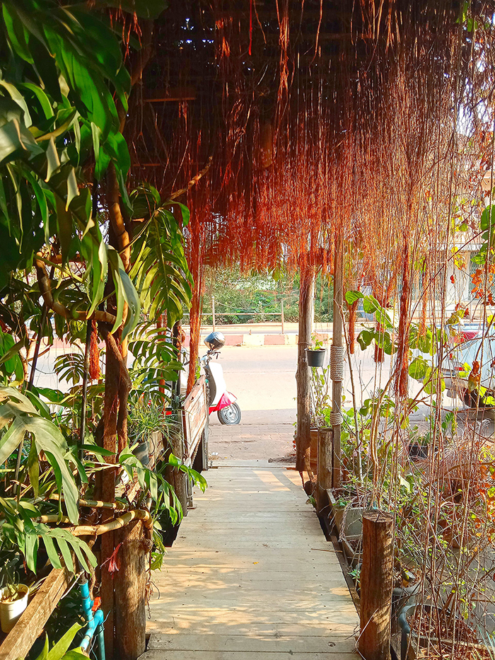 ワイルドな植物のカーテンがかかるカフェの入り口
