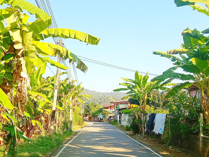 サイクリング中の景色