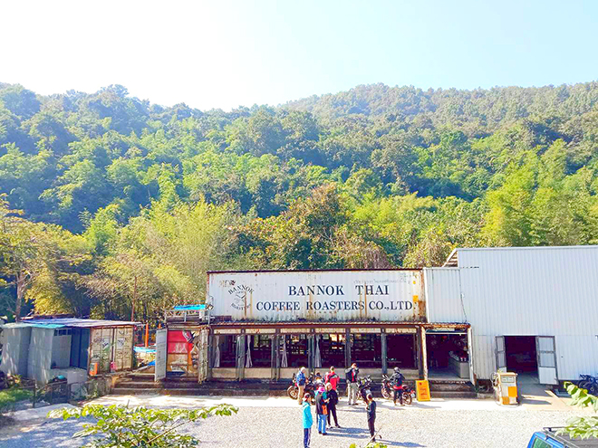 自然たっぷりのカフェ