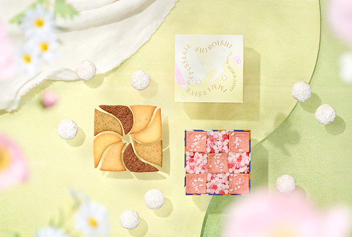2026年4～6月限定販売の「しろいし洋菓子店のクッキー缶～野花のスケッチ～」