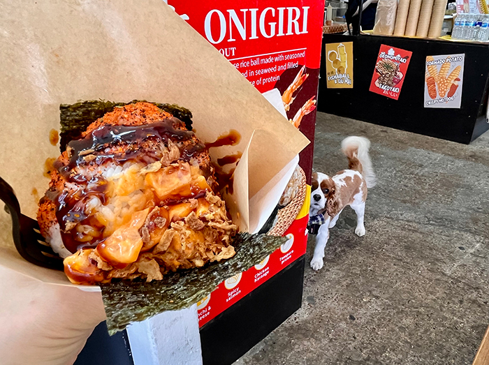 スパイシー・サーモンのおにぎり