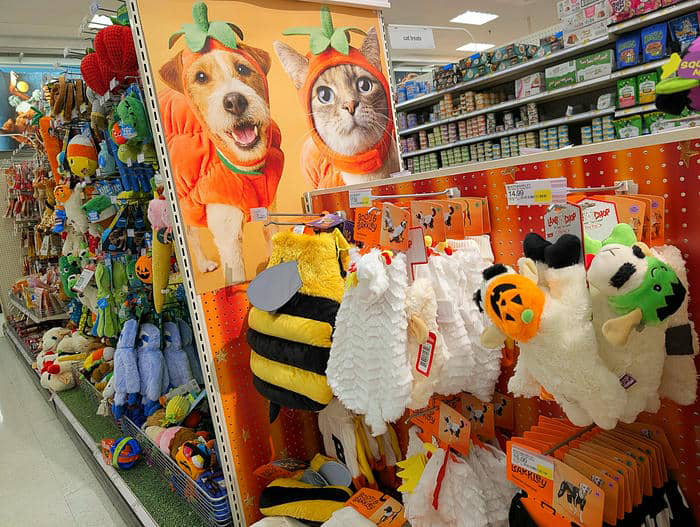 ペット向けのハロウィン関連グッズコーナー